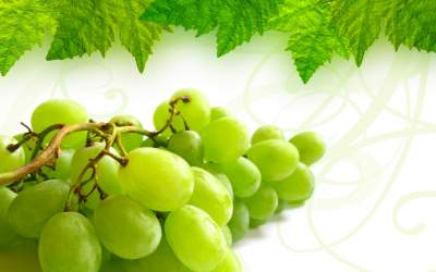L'Uva: il frutto della gioia