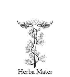 Erboristeria Herba Mater Roma